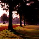 image: Image from the photoset ‘
untitled (xxxiv)
’.