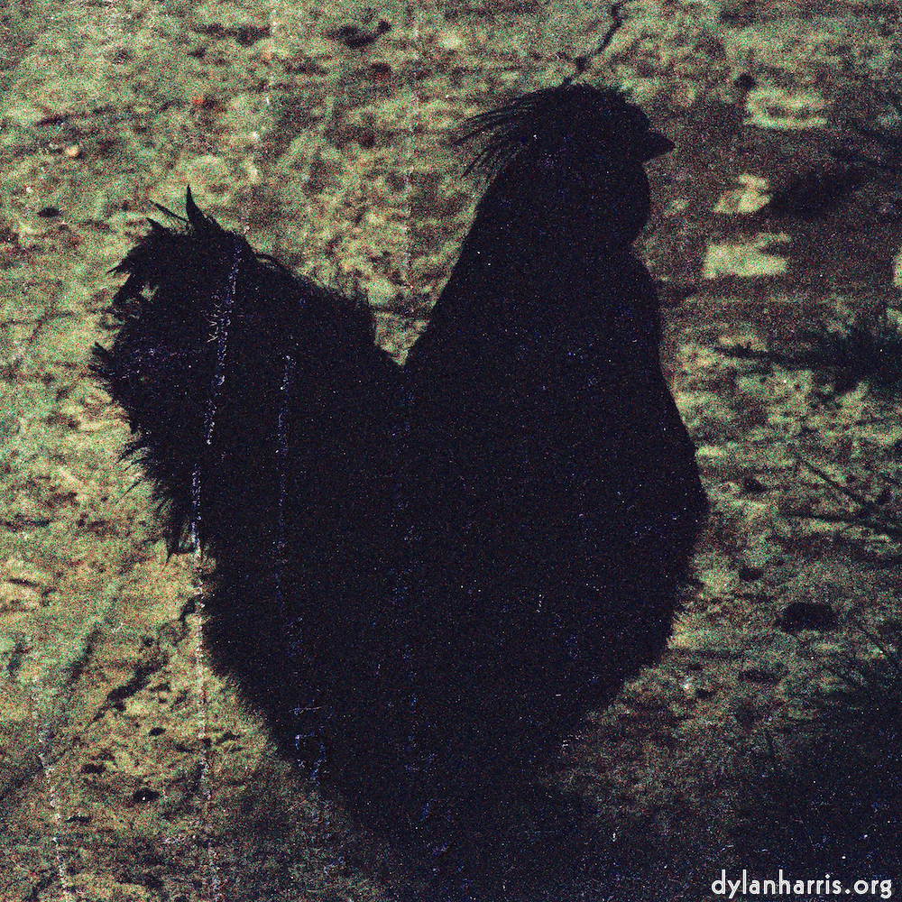 image: This is ‘
untitled (xxxv) 2
’.