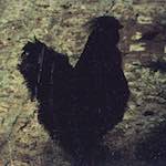 image: Image from the photoset ‘
untitled (xxxv)
’.