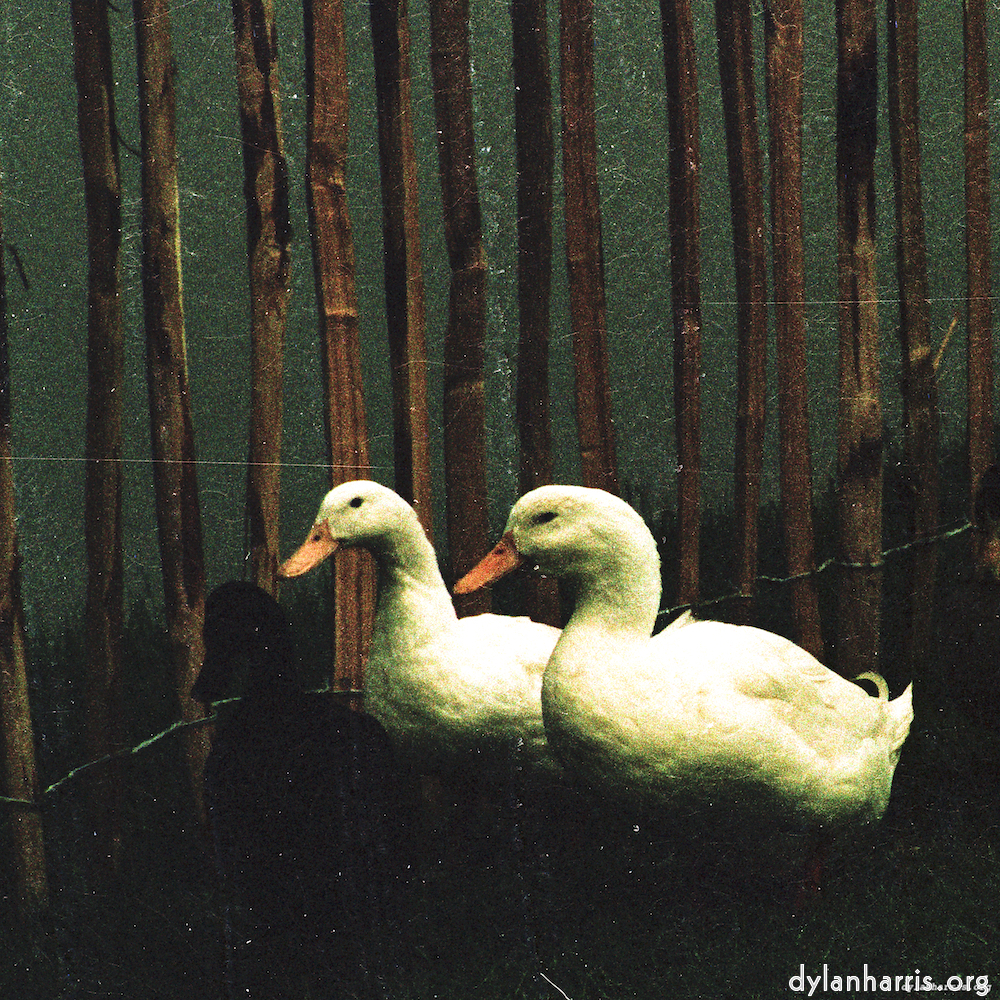 image: This is ‘
untitled (xxxvi) 1
’.