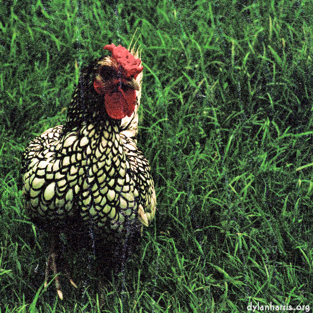 image: This is ‘
untitled (xxxvi) 2
’.