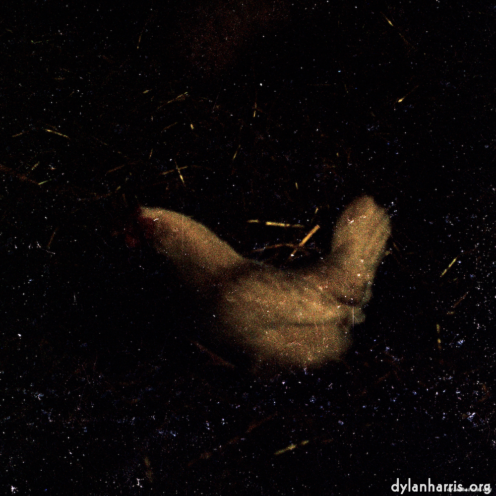 Image: Image 'untitled (xxxvi) 3'.