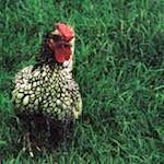 image: Image from the photoset ‘
untitled (xxxvi)
’.