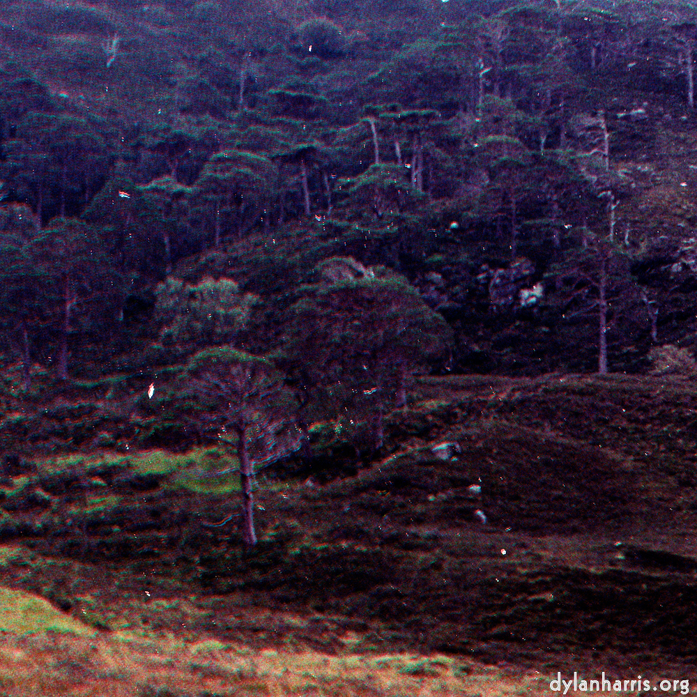Image: Image 'highlands (xiii) 4'.