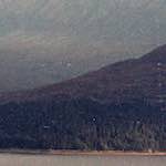 Image: Fifth image from the photoset 'highlands (xiii)'.