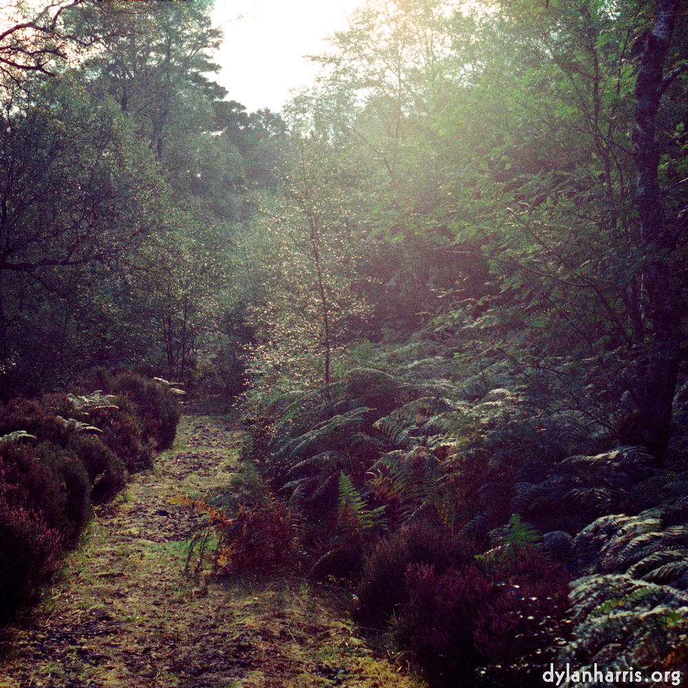 Image 'highlands (xiv) 1'.