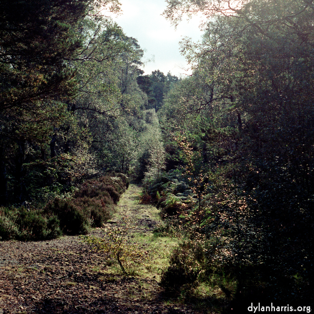 Image: Image 'highlands (xiv) 3'.