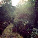 image: highlands (xiv) photoset