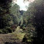 Image: Third image from the photoset 'highlands (xiv)'.