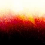 image: Image from the photoset ‘
fire (xxxiii)
’.