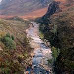 Image: Second image from the photoset 'highlands (xv)'.