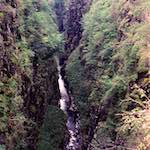 Image: Third image from the photoset 'highlands (xvi)'.