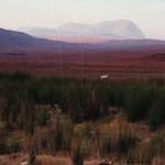 Image: Second image from the photoset 'highlands (xviii)'.