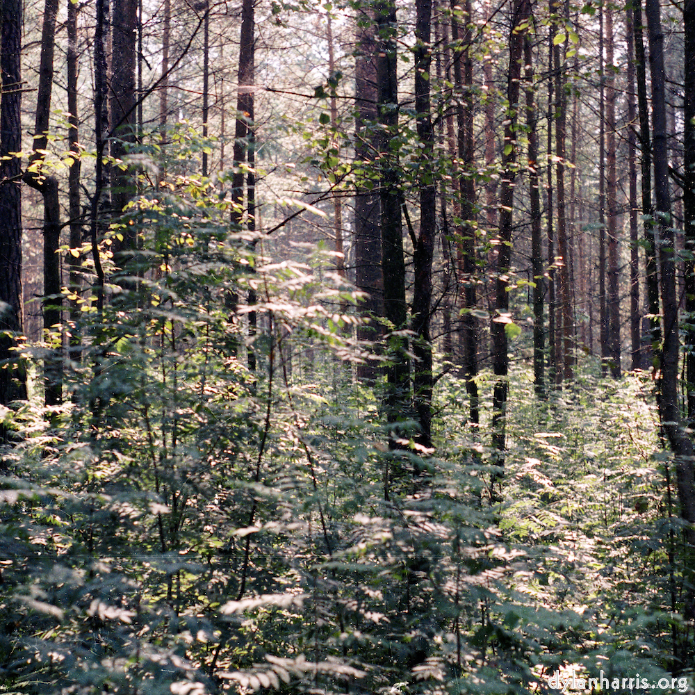 Image: Image 'youth festival 1'.