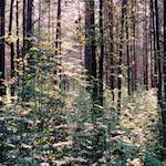 Image: First image from the photoset 'youth festival'.