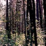 Image: Fourth image from the photoset 'youth festival'.