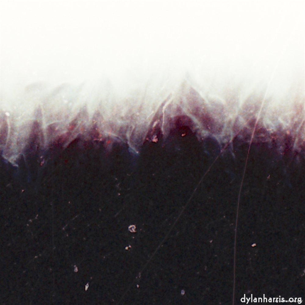 image: This is ‘
fire (xxxv) 3
’.