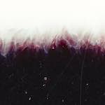 Image: Third image from the photoset 'fire (xxxv)'.