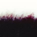 Image: Fourth image from the photoset 'fire (xxxv)'.