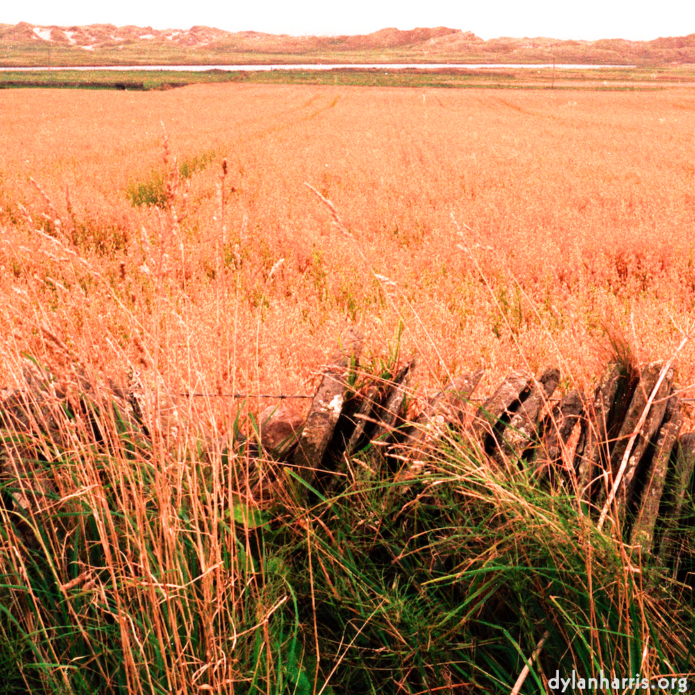 Image: Image 'north (i) 1'.