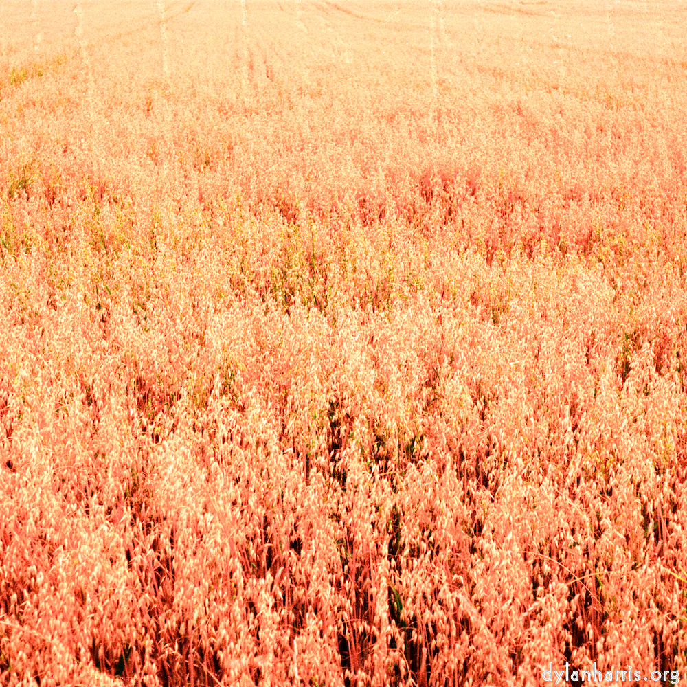 Image: Image 'north (i) 3'.