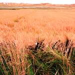 Image: First image from the photoset 'north (i)'.