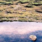 Image: First image from the photoset 'highlands (xx)'.