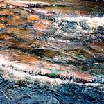 Image: Fifth image from the photoset 'highlands (xx)'.