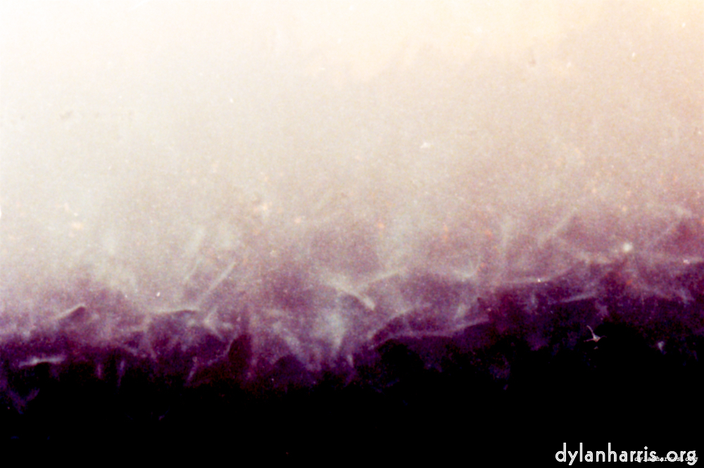 Image 'fire (xxxi) 1'.