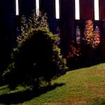 Image: First image from the photoset 'highlands (xi)'.