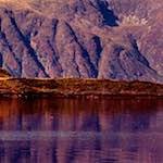 image: highlands (xii) photoset