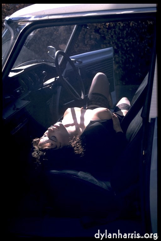 Image: Image 'kerry (ii) 4'.