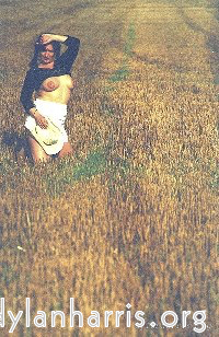 Image: Image 'kerry (iii) 5'.