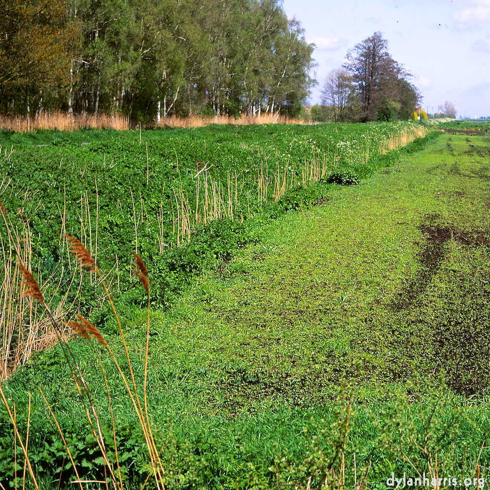 image: This is ‘
fen (xi) 2
’.