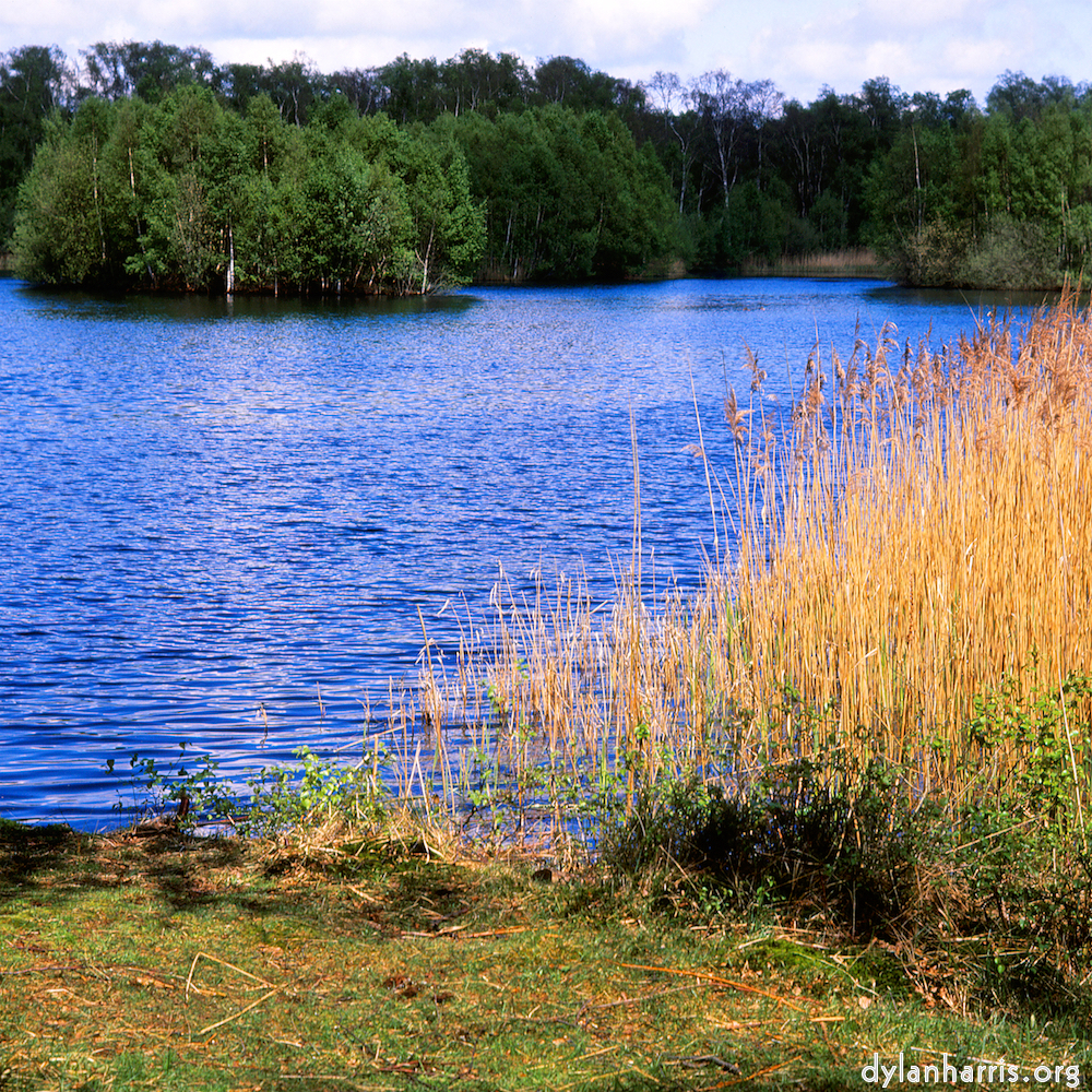 image: This is ‘
fen (xi) 3
’.