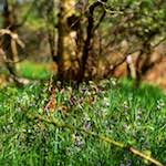 image: Image from the photoset ‘
fen (xi)
’.