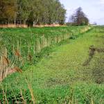 image: Image from the photoset ‘
fen (xi)
’.