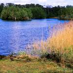 image: Image from the photoset ‘
fen (xi)
’.