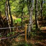 image: Image from the photoset ‘
fen (xi)
’.