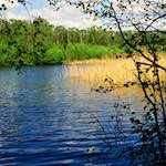 Image: Third image from the photoset 'fen (xii) '.