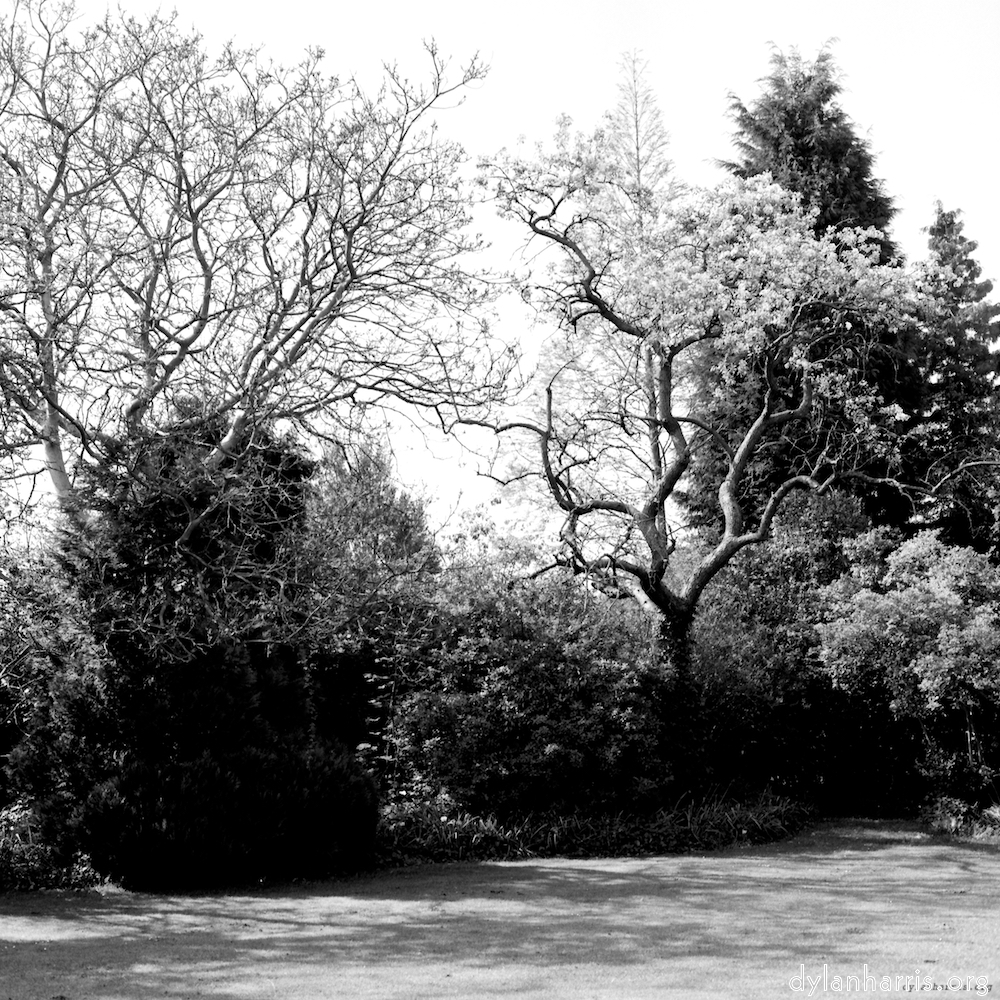 Image: Image 'fen (xiii) 3'.