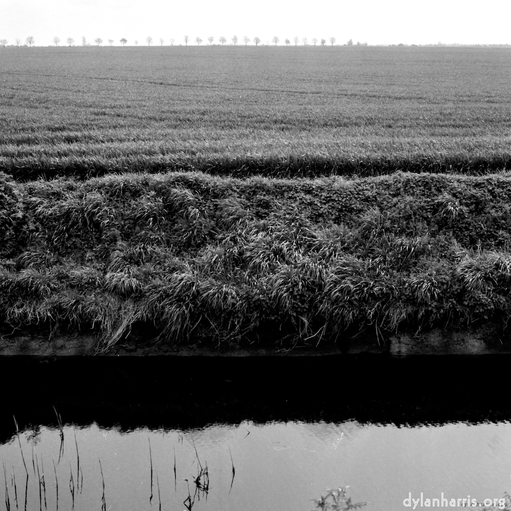 Image: Image 'fen (xiii) 4'.