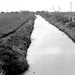 Image: First image from the photoset 'fen (xiii)'.