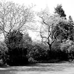 Image: Third image from the photoset 'fen (xiii)'.