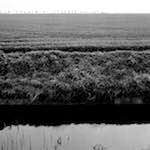 Image: Fourth image from the photoset 'fen (xiii)'.