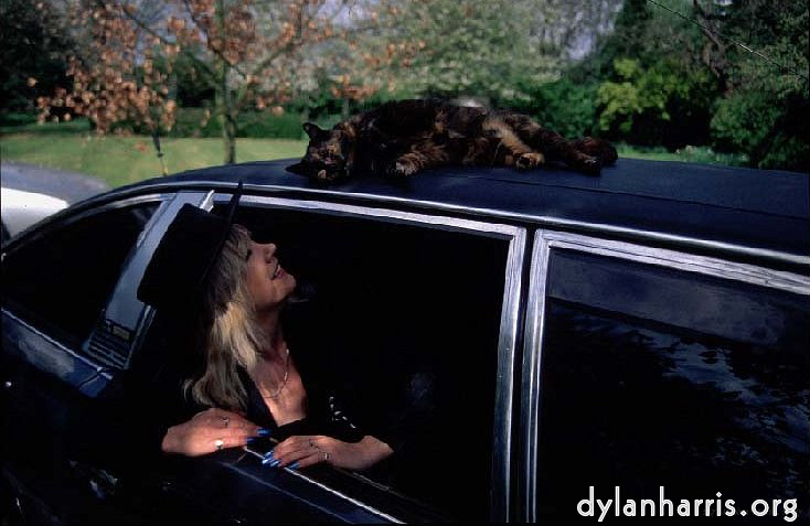 Image 'ministerial 4'.