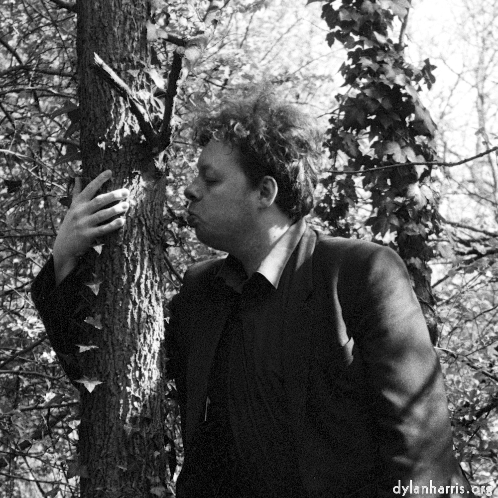 Image 'auto (ii) 2'.