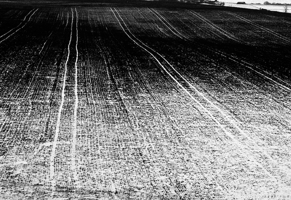 Image: Image 'train (i) 4'.