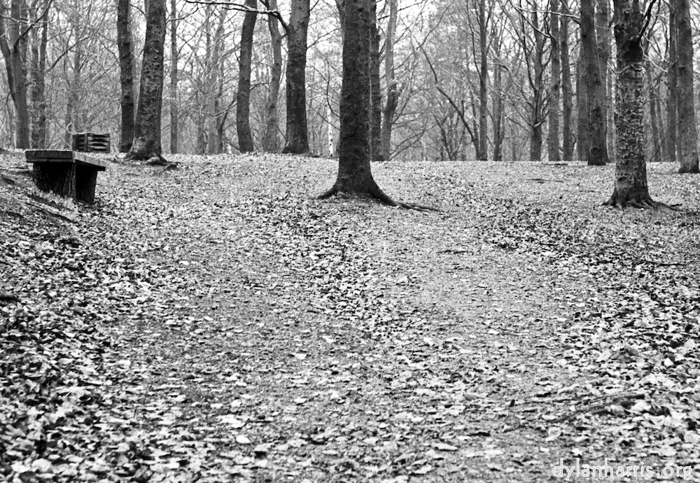 image: This is ‘
wood (v) 2
’.