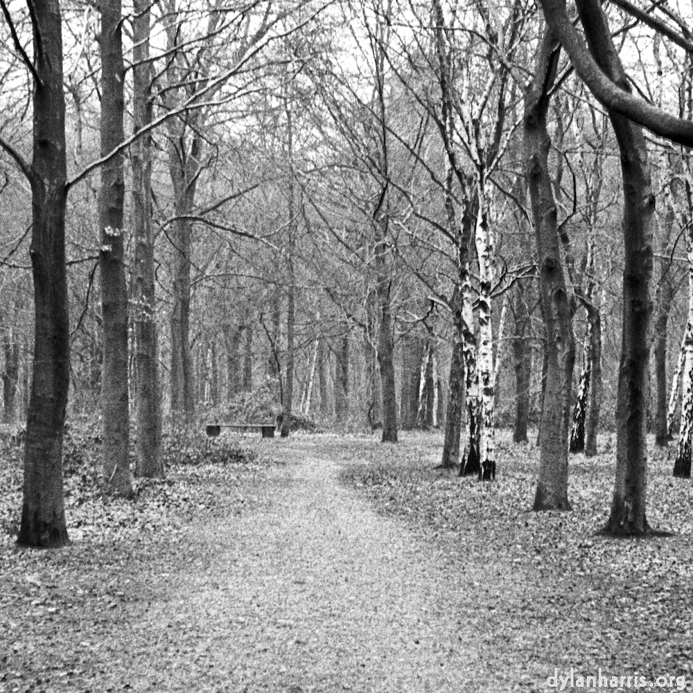 image: This is ‘
wood (v) 3
’.